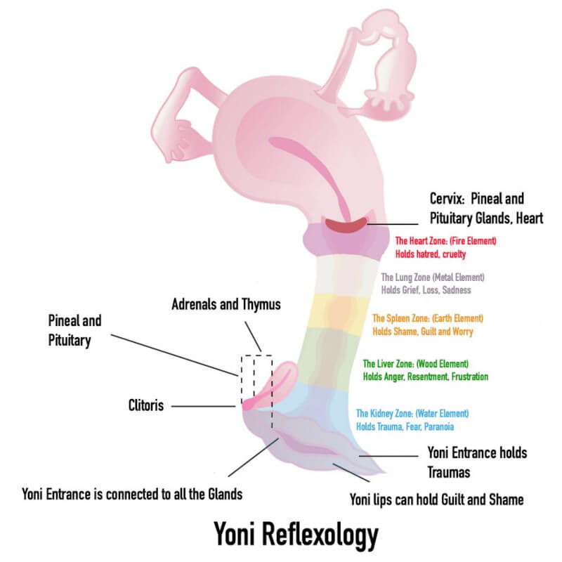 Yoni reflexologie
